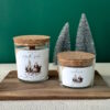 Vela Aromática North Pole